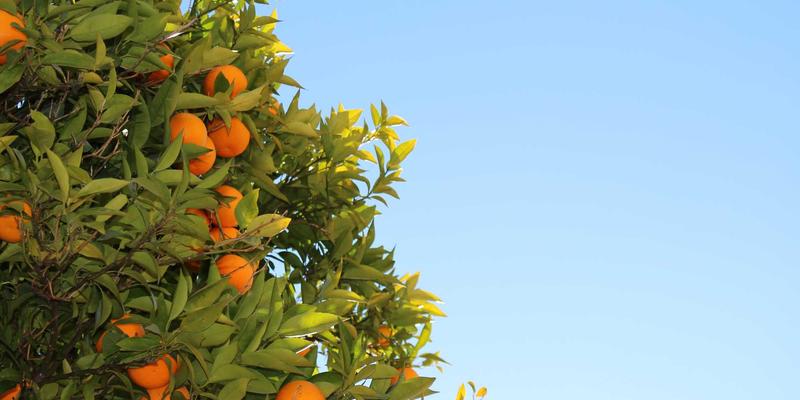 中小型企业如何选择ERP系统？一站式解决方案驱动企业成长