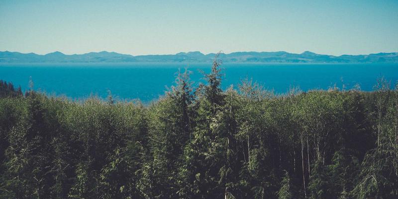 从工具到生态：B2B企业如何借力PLG模式，打造商务社交的增长飞轮