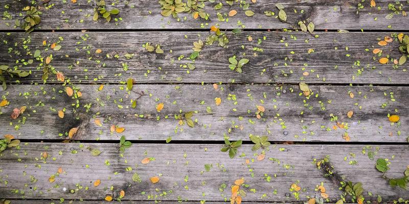 从“救火队”到“导航仪”：远程办公时代，IT服务台如何转型为驱动企业成长的数字化支持中心