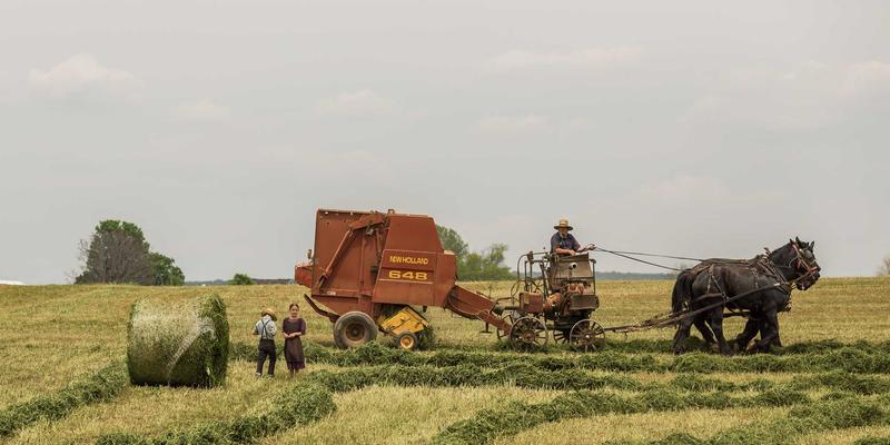 数据驱动客户成功:企业如何通过智能策略实现续约率与增购率双增长