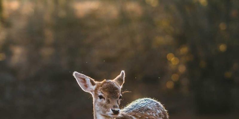 智企汇:企业服务合同谈判中的风险规避条款详解,为您的企业成长保驾护航