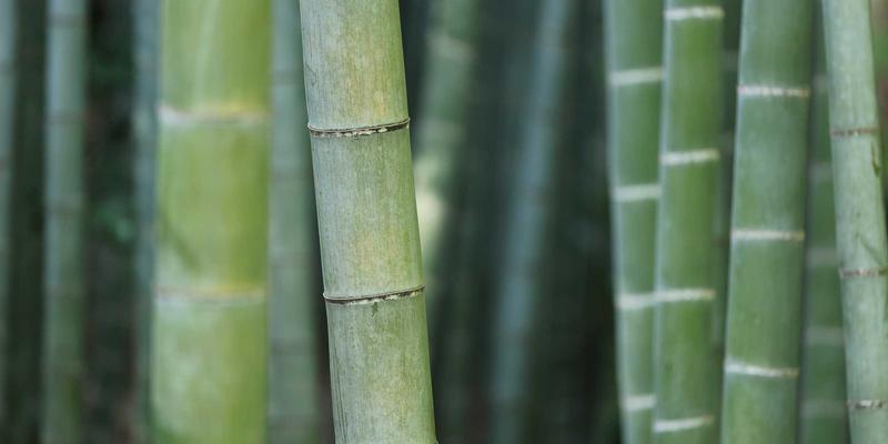 智企汇：智能客服如何重塑企业服务与商务社交新生态