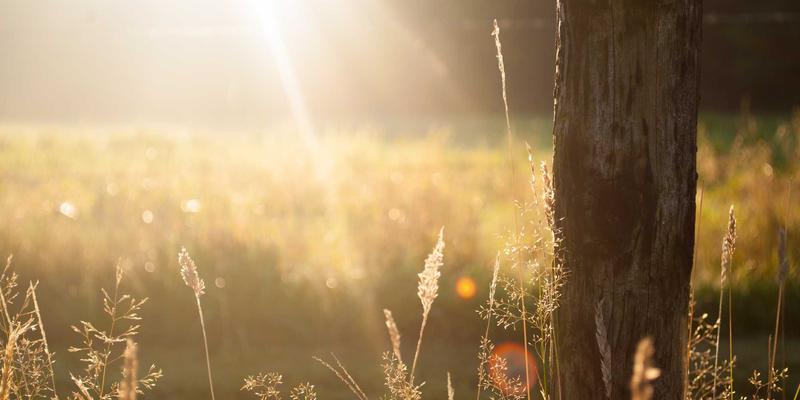 智企汇：绘制SaaS安全合规全景图，一站式解决方案助企业应对等保2.0与数据出境新规