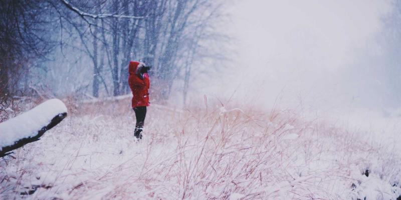 智企汇：解锁企业服务数字化转型的五个关键步骤与实施策略