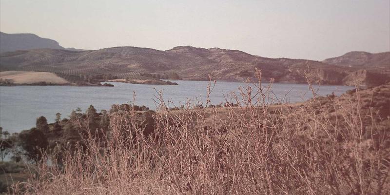 构建共赢生态：企业服务商如何通过全周期管理，打造高价值渠道伙伴网络